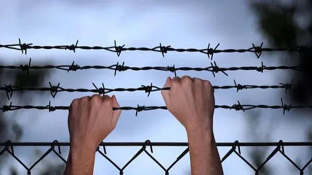 kak-vybrat-sistemu-ohrany-perimetra-dlya-vashego-biznesa-sovety-ekspertov-supptech